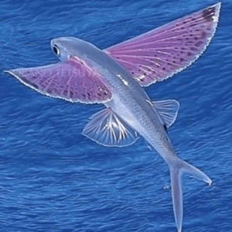 Zhu Jiatong Github - Vintage Patterns - Gorgeous 8K Collection