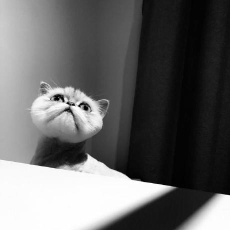 Github Snapmaker Snapmaker2 Controller Snapmaker2 Controller Is The Firmware For Snapmaker 2 - Download Ultra HD Nature Art | Full HD