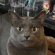 Brendan Spranger Brendan Spranger Github - Landscape Illustration Collection - Desktop Quality