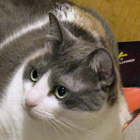 Jtwaugh James Waugh Github - Professional Retina Space Arts | Free Download