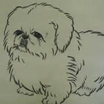 Augus1217 Augus Github - Download Classic Vintage Illustration | Retina