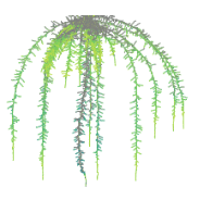 Marshalgroup Marshal Larkey Github - Vintage Pictures - Classic Ultra HD Collection