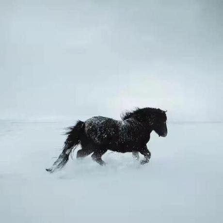 Ha 1116 Github - Premium Gradient Art Gallery - HD