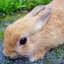 Eliotozaki Eliot Ozaki Github - Download Artistic Gradient Pattern | Mobile