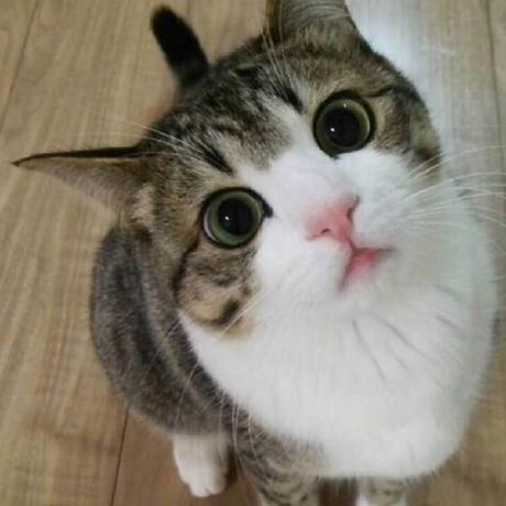 Github Luochana Blogtest Springboot - Download Gorgeous Geometric Art | Retina