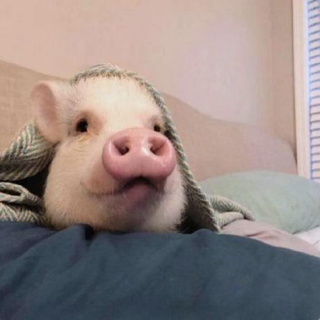 Github Pambujan Sorry - Space Art Collection - Full HD Quality