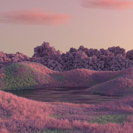 Libre Self Hosted Budibase Project - Premium Space Picture Gallery - Retina