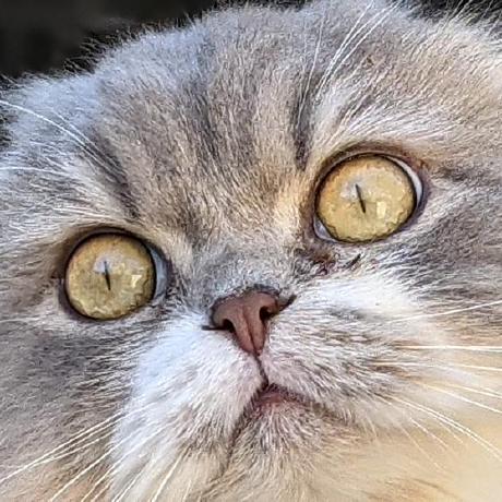 Asscoo Dominik Makowski Github - Premium Landscape Art Gallery - Full HD