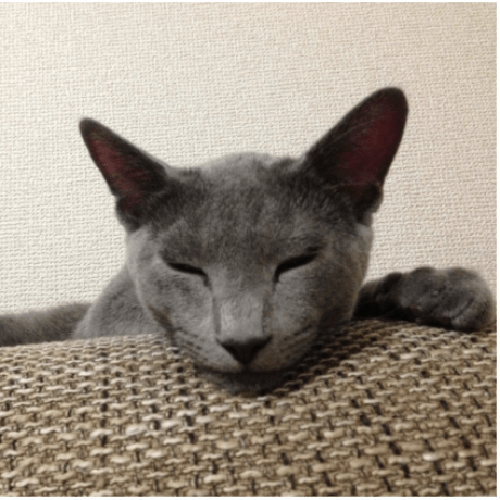 Sally Dreamer Jingxuanwang Github - Best Geometric Designs in 8K