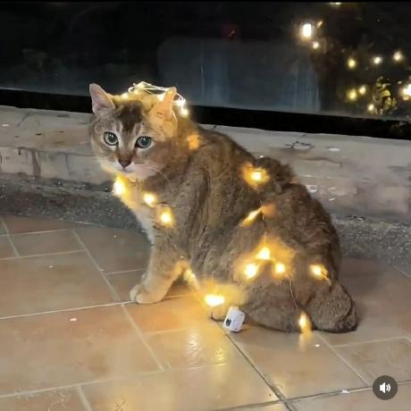 Github Bitbuf Nbt Flexible And Intuitive Java Nbt Library With - High Quality 4K Colorful Illustrations | Free Download