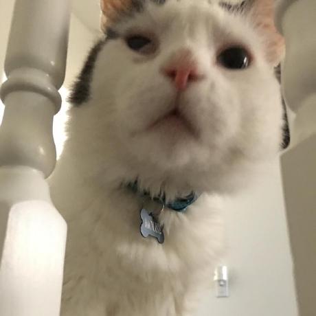 Upgrade Dependencies By Rybesh Pull Request 247 Periodo Periodo - High Quality Minimal Image - High Resolution