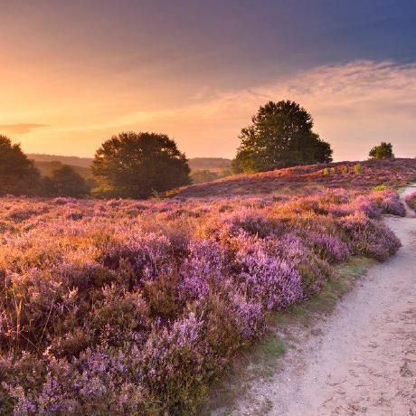 Mvanhalen Martijn Van Halen Github - Perfect Ultra HD Nature Designs | Free Download