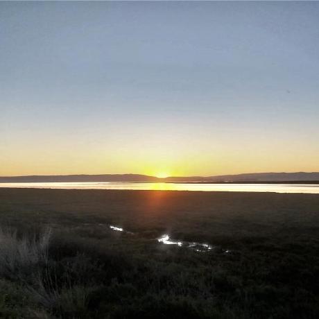 Albertyusun Albert Sun Github - Best Geometric Backgrounds in HD