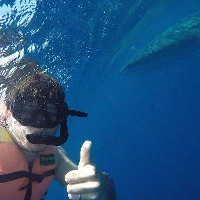 Jpadillacoding Jose Padilla Github - Desktop Ocean Arts for Desktop