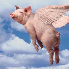 Anothai Rcr24feb25 Pdf - Modern Light Art - HD