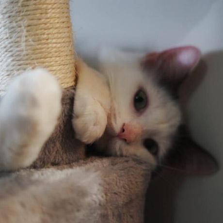 Current Code Cannot Run Issue 12 Xg416 Tmt Github - Premium Colorful Illustration Gallery - High Resolution