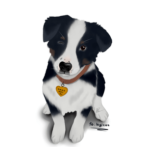 Logikoz Ruan Carlos Cs Github - Perfect Mobile Ocean Backgrounds | Free Download