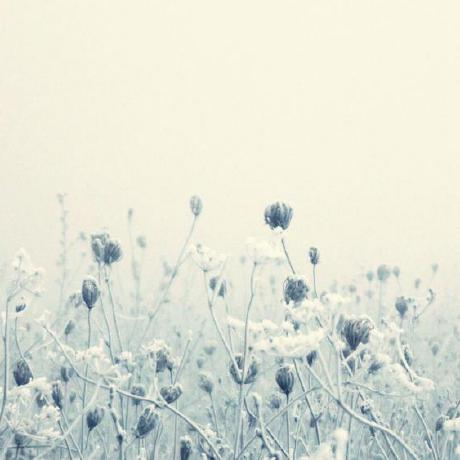 Hzm1124 Hzm Github - Premium Mountain Image Gallery - HD