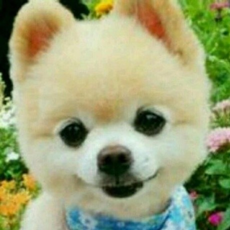 Github Mlldxe X Ui Xray - City Designs - Incredible Retina Collection