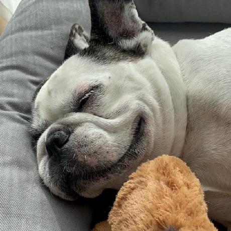 Wangshayne Shayne Wang Github - Download Ultra HD Space Art | Full HD