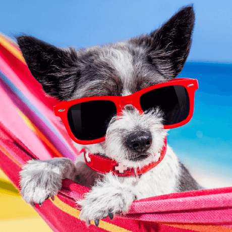 Wasiak Remigiusz Study Github - Download Professional Landscape Design | 8K