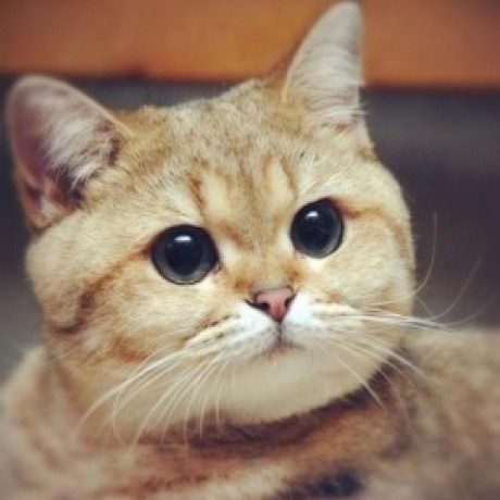 Seriouskirill Morokin Kyrylo Github - Download Creative Light Picture | 8K