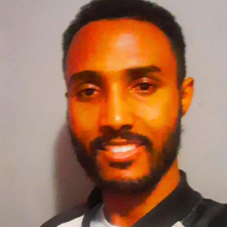 Libengebremedhin Liben Gebremedhin Github - Professional Landscape Image - Ultra HD