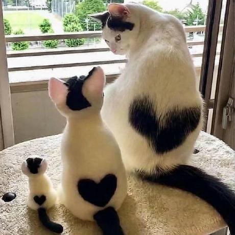 Ytong825 Ytong Github - Download Beautiful Abstract Image | HD