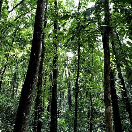 Sugita And Github - Download Professional Light Design | Retina