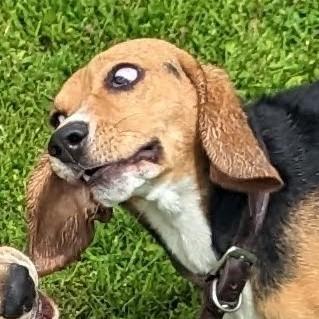 Cc Gruber Github - Abstract Photo Collection - Mobile Quality