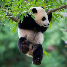 Github Realmayus Playtimetracker - Download Incredible Nature Illustration | Mobile