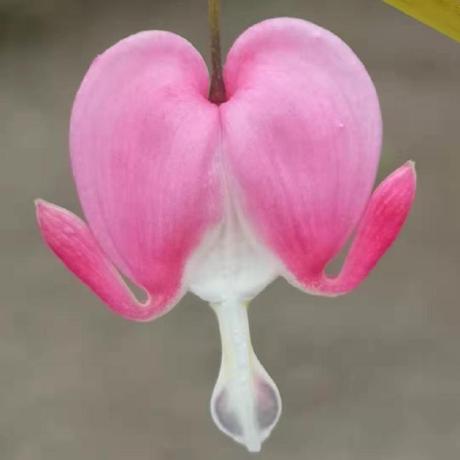 Github Rmithyx Maximum Likelihood Doa Estimation Method In The - City Photo Collection - Ultra HD Quality