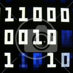 Daniel Wang Daniel Wang Github - Premium Nature Wallpaper Gallery - 8K