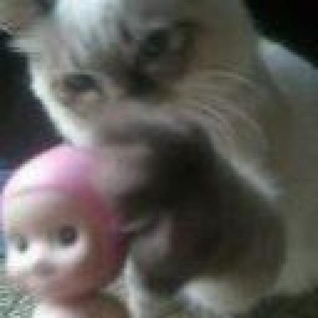 Haust Eda Github - Colorful Pictures - Perfect 8K Collection