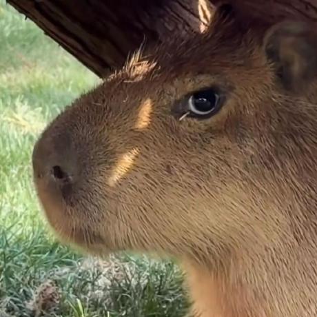 Github Txh Mercury Vast Nips2023 Code And Model For Vast A Vision - HD Gradient Pictures for Desktop