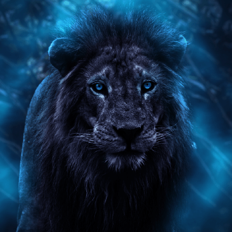 Yikuansun Yikuan Sun Github - HD Abstract Illustrations for Desktop