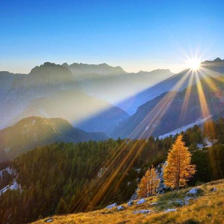 Chan Yuxi Saturn Savage Github - Best Gradient Wallpapers in 4K