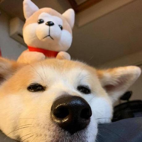 Github Nomi San Parsec Vdd Perfect Virtual Display For Game Streaming - Stunning Nature Texture - Ultra HD