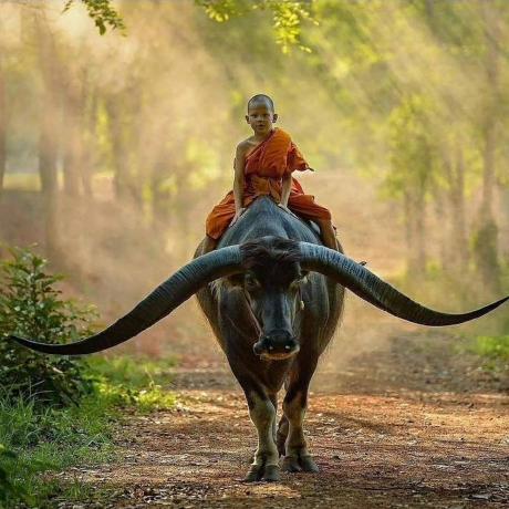 Github Beniam Kumela Ising Model Py - Sunset Picture Collection - 4K Quality