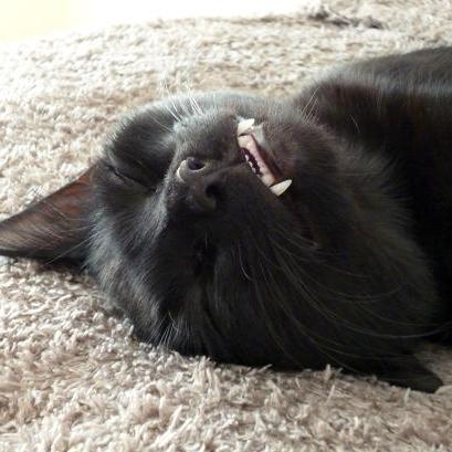 Github Libretro Glsl Shaders This Repo Is For Glsl Shaders Converted