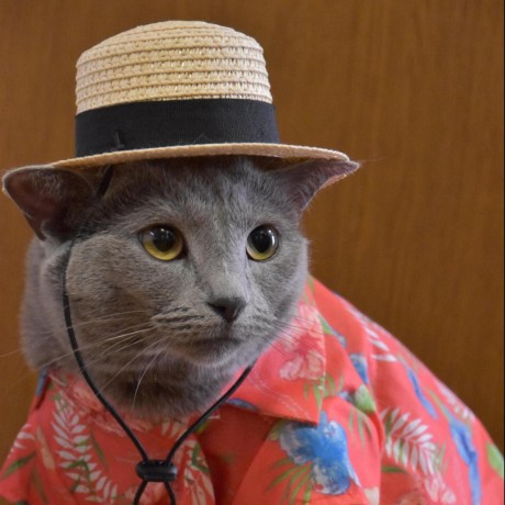 Tri Star Tristar Github - High Resolution Nature Pictures for Desktop