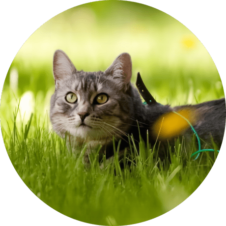 Miyagawao Miyagawa Github - Premium Ocean Art Gallery - Ultra HD