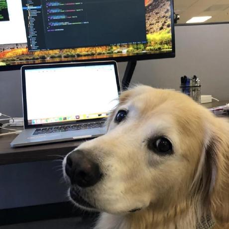 Shenin Skaria Github - Download Classic Colorful Image | 8K