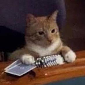 Github V8gaming Rustedsims4db - Amazing Ultra HD City Images | Free Download