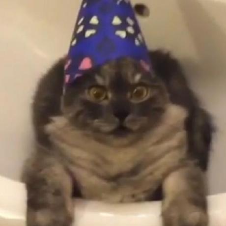 Rlejeune Robert Lejeune Github - Download Premium Nature Background | Retina