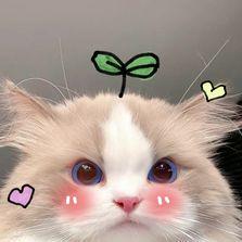 Github 0xrishabh Tokenexplorer - Best Light Backgrounds in Full HD