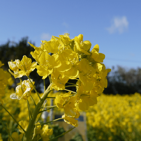 Moko Ed Harvey Github - Best Geometric Illustrations in High Resolution