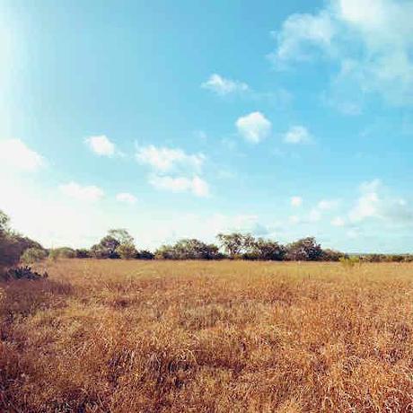 Permac Maciej Perkowski Github - Incredible HD Sunset Backgrounds | Free Download