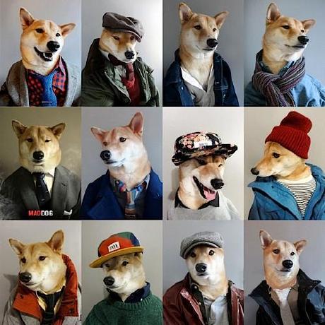 Github Shadowmimosa Av Data Capture - Premium Landscape Design Gallery - Retina