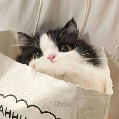 Ermeng98 Ermeng Github - Retina Abstract Patterns for Desktop